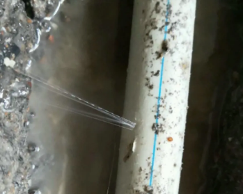 景谷卫生间测漏水多少钱